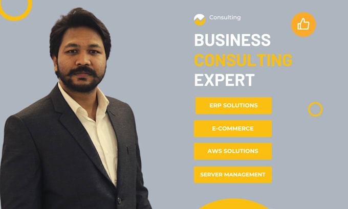 provide business consultancy for erp, ecommerce, amazon web services
