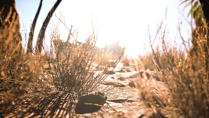 make realistic animated videos in unreal engine 5