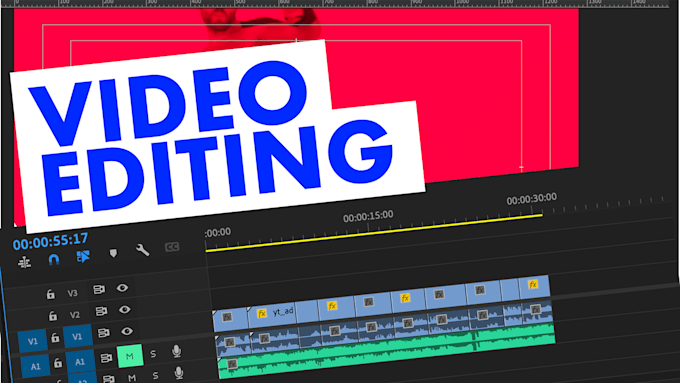 provide you a professional video editing