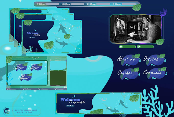 design professional twitch overlay and logo for you