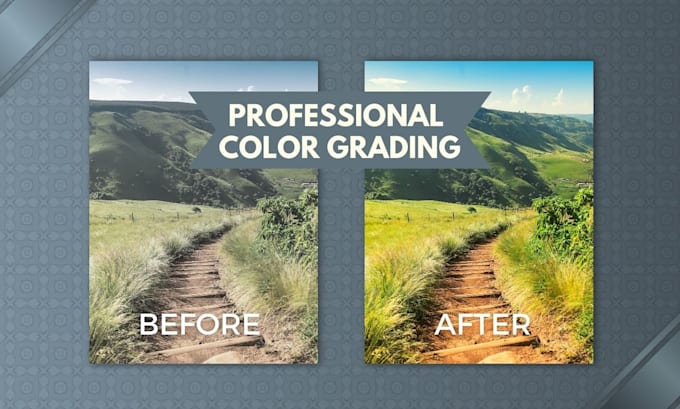 do professional video color correction and color grading