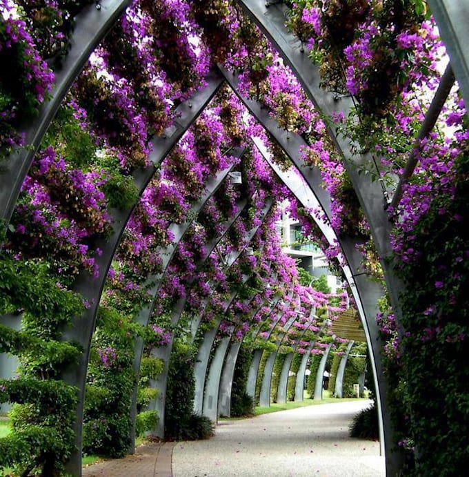do growing up ornamental lants in Turkey