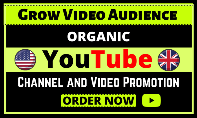 Hire a freelancer to do organic youtube video promotion until it goes viral