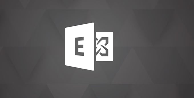provide support for microsoft exchange 2010, 2013, 2016, 2019 environments