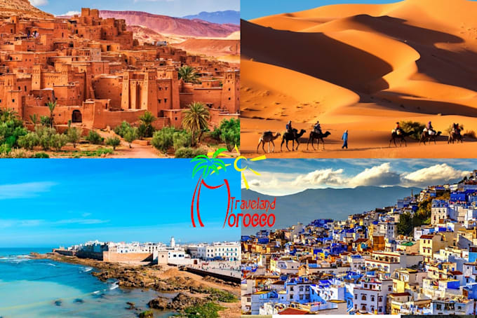 organize your travel in morocco