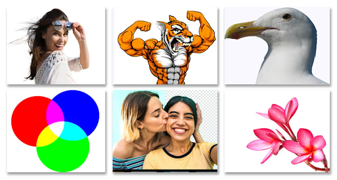 clipping path, background remove white or transparent png