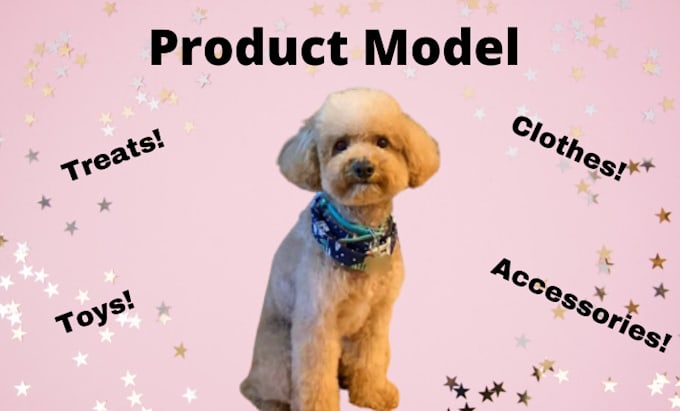 have my dog model your products