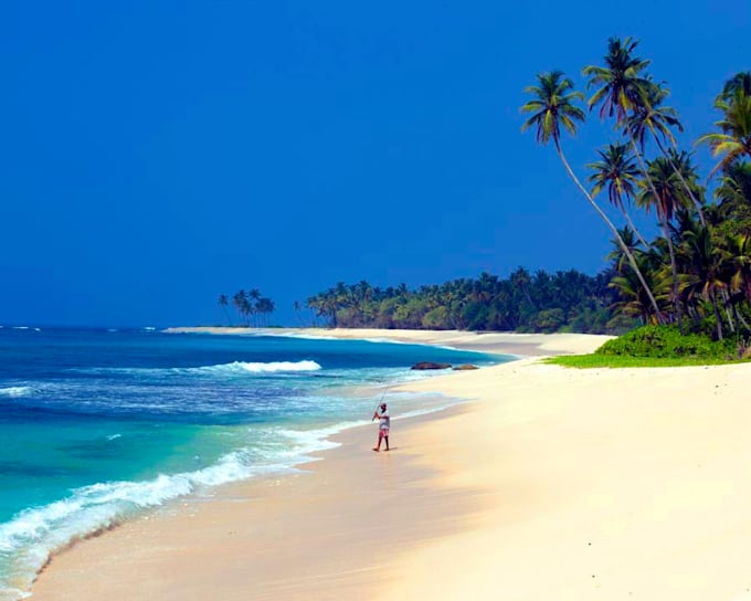 plan your trip in Sri Lanka