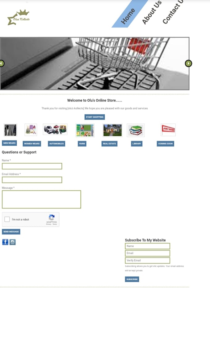 build ecommerce website for business owner