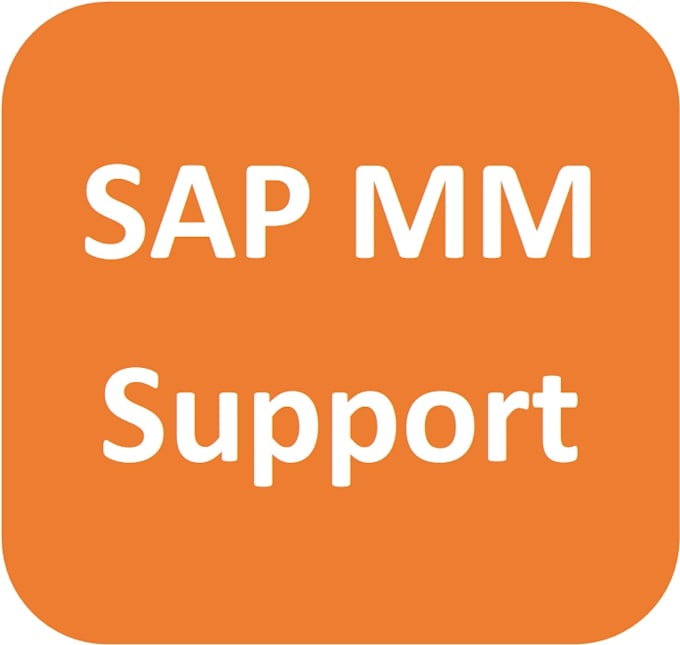 provides sap mm support and developments