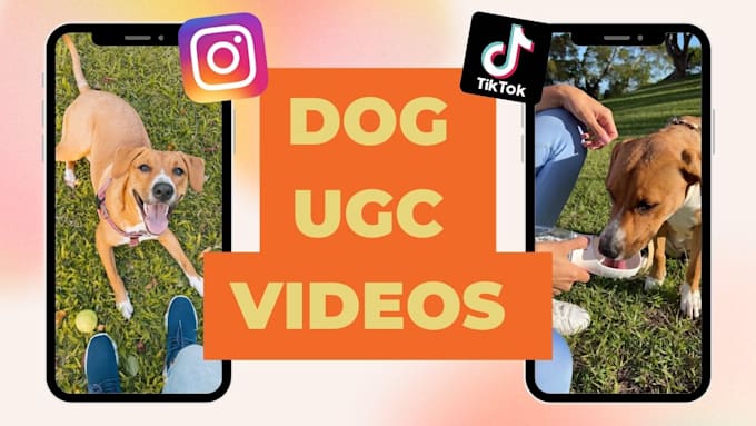 pet dog ugc content for tiktok ig reel video