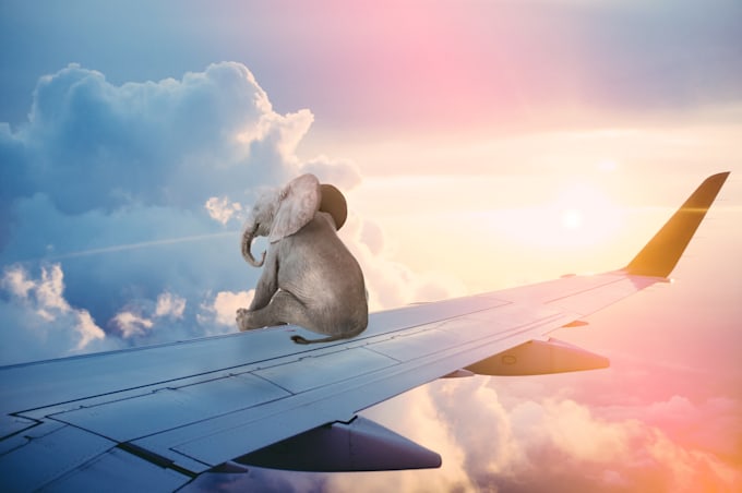 improve your php virtual airline website