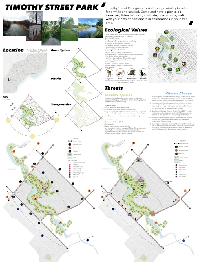 create concept and do site analysis