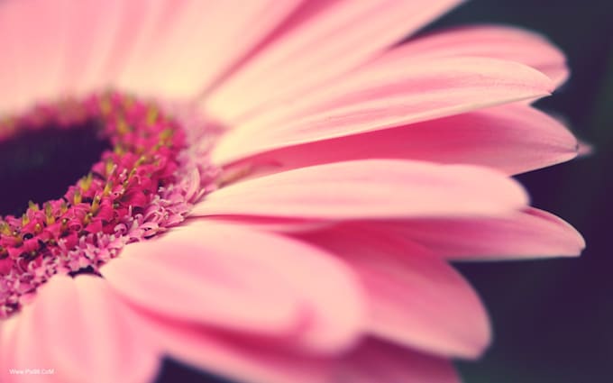 write poem for you on any topic