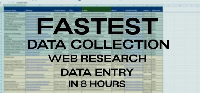 do fastest data collection, data entry and web research