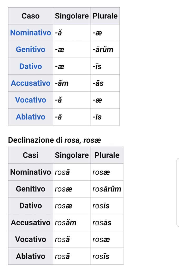 teach you latin language in italian or english