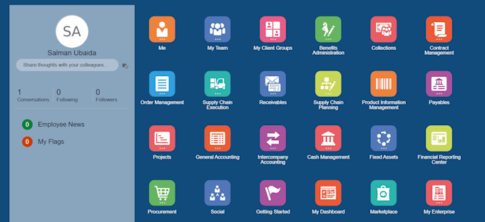 your oracle ebs and fusion functional consultant