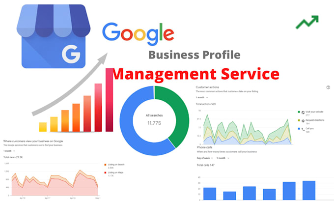 provide monthly google business profile management service