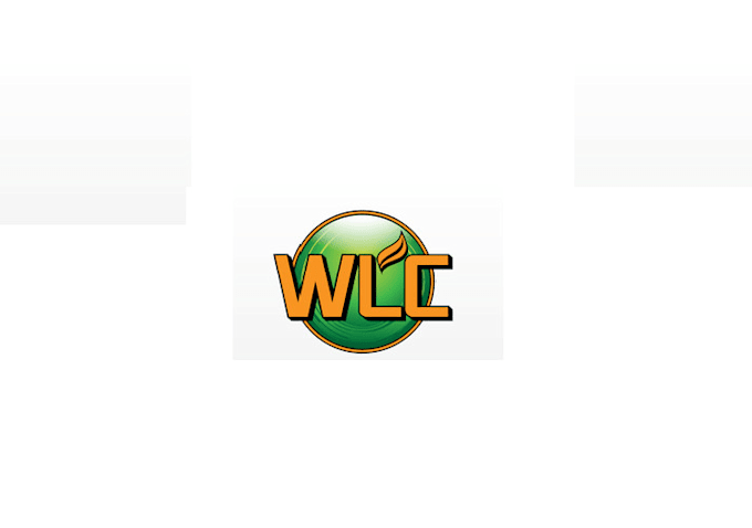 design waste logistics corp logo in 1  day