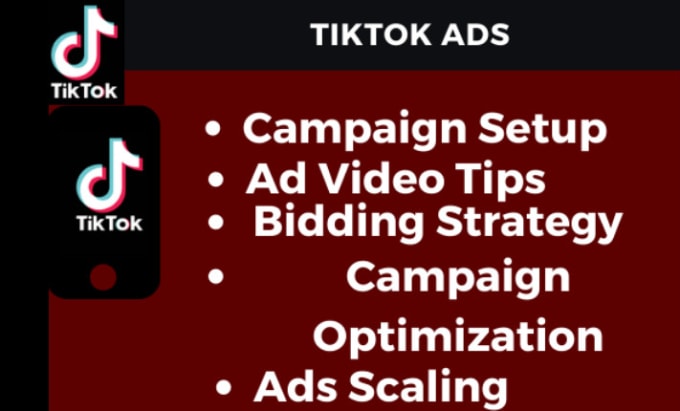 Be your tiktok ads manager by Tiktok_expert3 | Fiverr