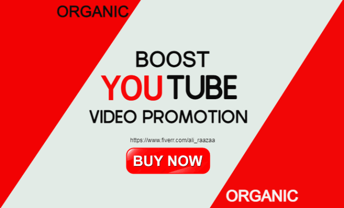 Hire a freelancer to do mega organic youtube promotion of your video