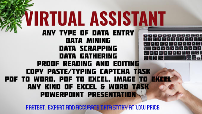 do fastest,expert and accurate data entry at low price