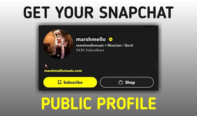 Create your snapchat public profile which have subscribe button by