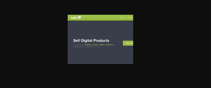 set up, build, design shopify, pod, sellfy, and godaddy store ecwid store
