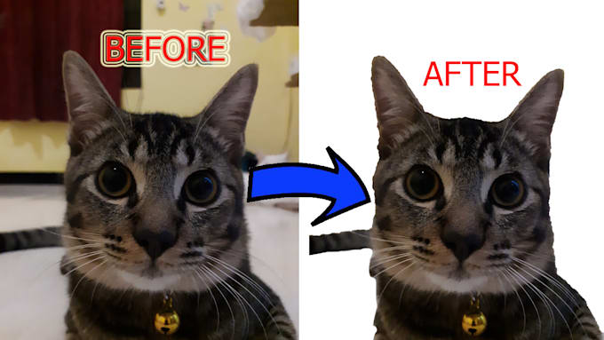 fastest photoshop background remove, resize, transparant