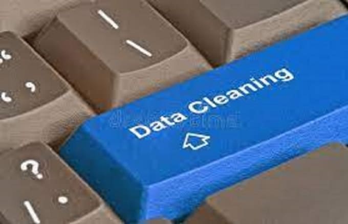 clean the excel data and import data from word into excel
