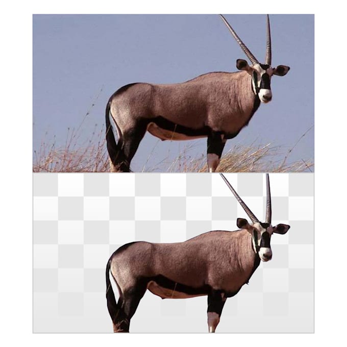 Remove backgrounds manually using by Hamzaouix Fiverr