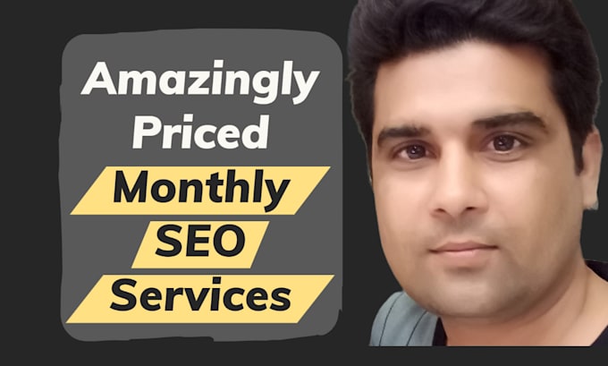 deliver amazingly priced monthly SEO services
