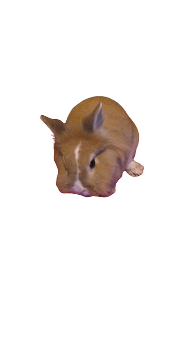 how do i use imovie to put a soundtrack on background how do i use imovie to put a soundtrack on background