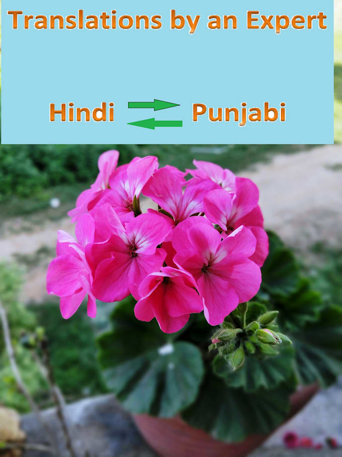Translate from hindi to punjabi and vice versa by Manju_arora Fiverr