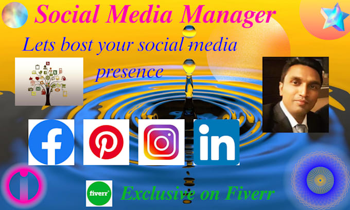 be your social media marketing manager and targeted email list building