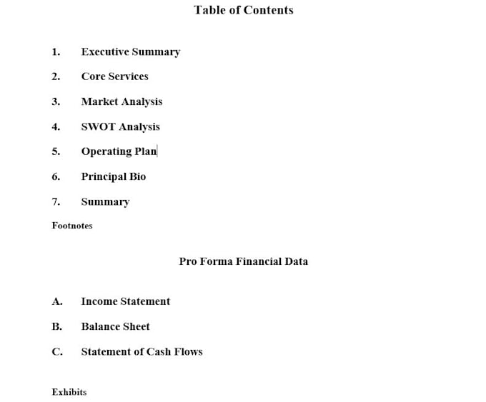 write a professional business plan