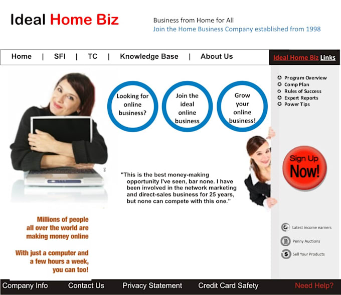 make a professional web design