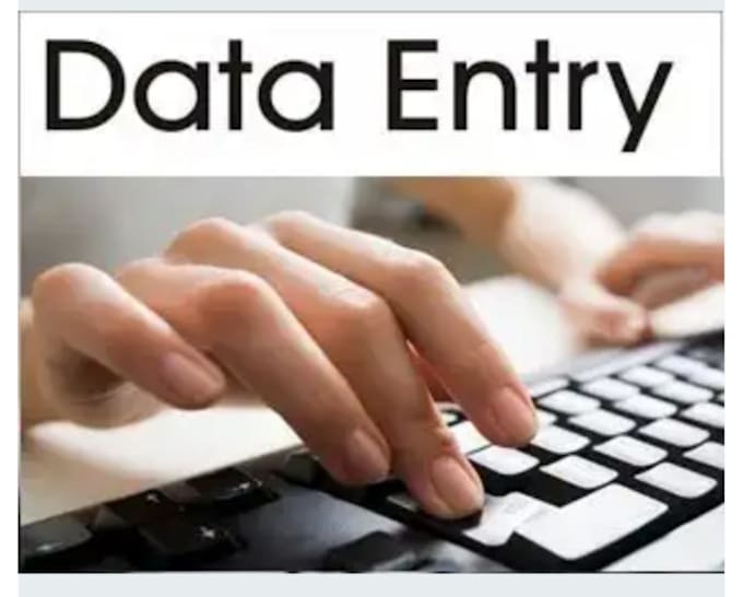 Be your data entry operator by Iqbalmehmood444 Fiverr