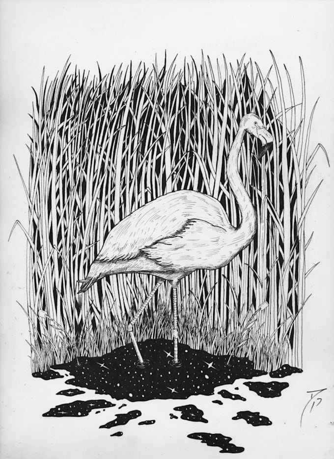 Fusion of concepts, ink drawing by Danicromatico Fiverr