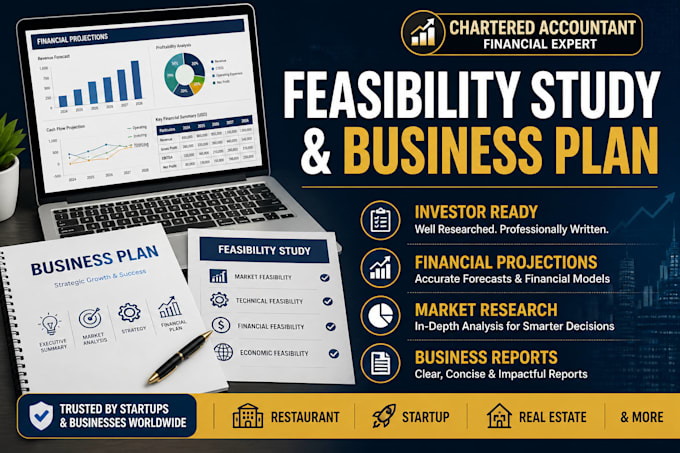 create investor ready business plan, feasibility study and financial projections