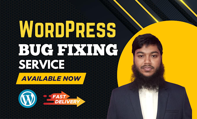 fix bugs or customize your wordpress website