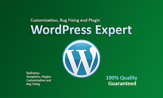 customize and fix bugs on the wordpress website