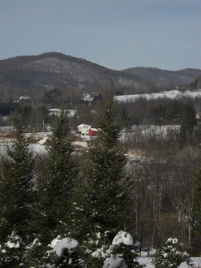 take a picture in Bennington, Vermont