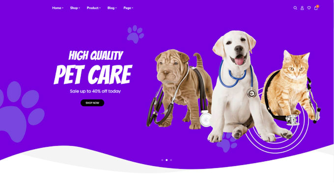 build a modern and creative wordpress website for you