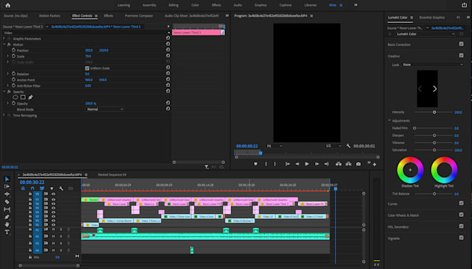 professionally edit your insta reels and youtube shorts