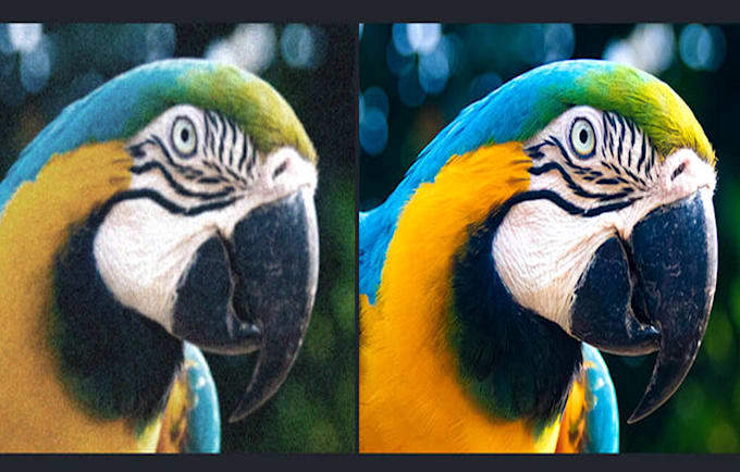 upscale, enhance, de noise, increase frame rate, restore video quality to 4k