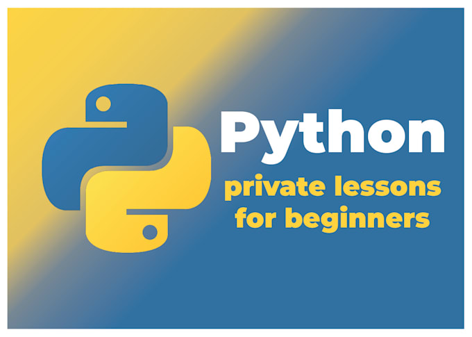 Teach you the basics of programming in python by Alexandrcizek | Fiverr