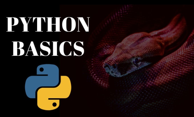 Teach you python basics by Arjun_ms | Fiverr