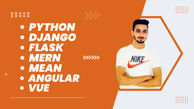 develop a professional django website, python website for you