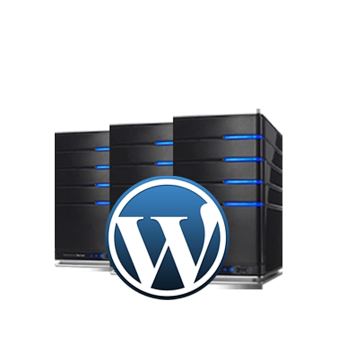 setup WordPress on your host
